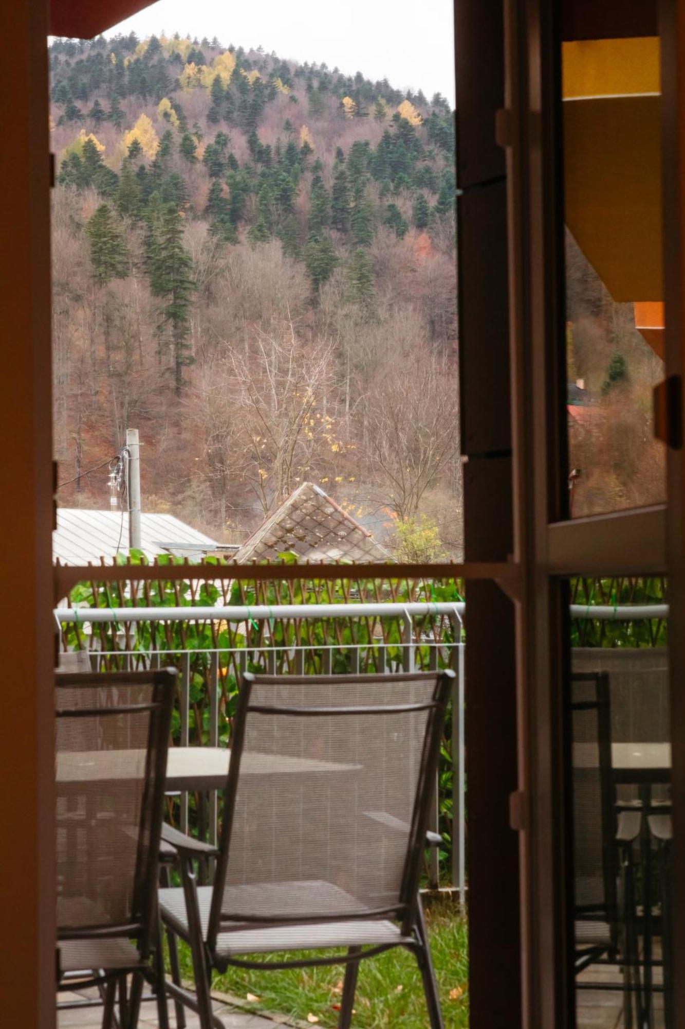 시나이아 Mountain Retreat 아파트 외부 사진